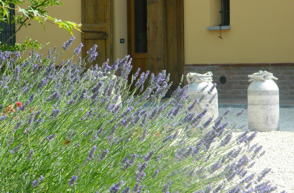 Agriturismo Cascina Pezzolo Lodi Exteriör bild